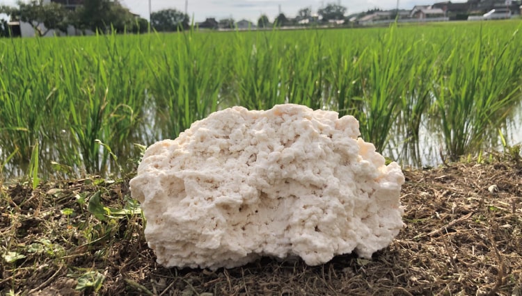 庄の夢のお米に使われる土に使われている沖縄県与那国島原産のサンゴ